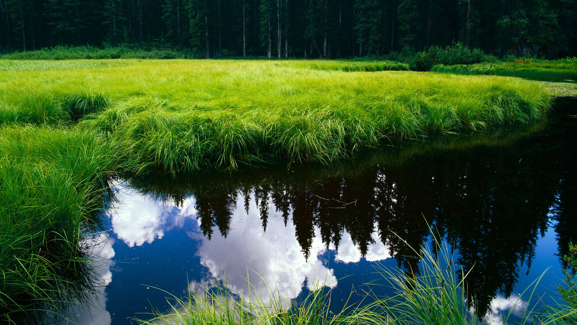 从悉尼到纽约，德约科维奇如何用联合杯火种引爆美网核爆点