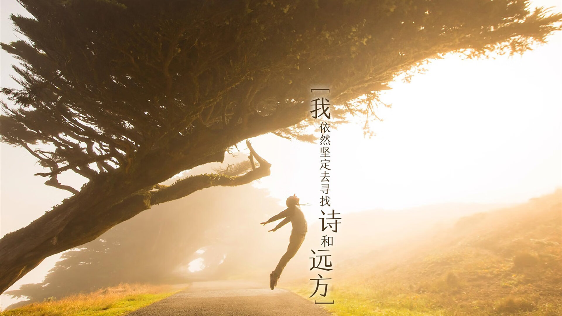 扫走旧神,燃爆新生,蒂姆狂焰与联合杯的时代风暴