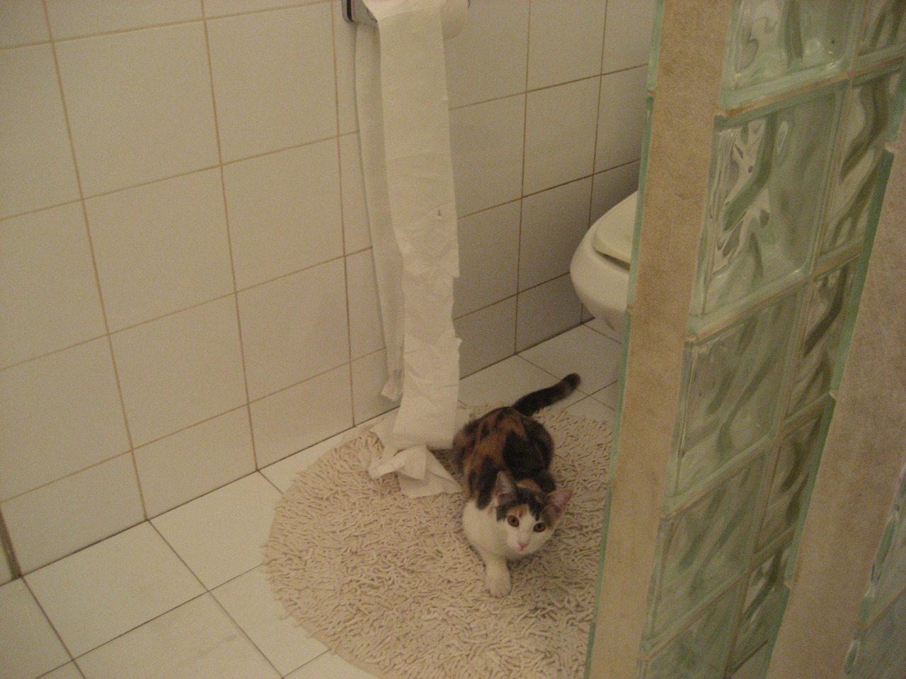 铁血战歌，门迪高接低挡守住足球城池，亚得里亚海巨浪吞噬罗马狼群