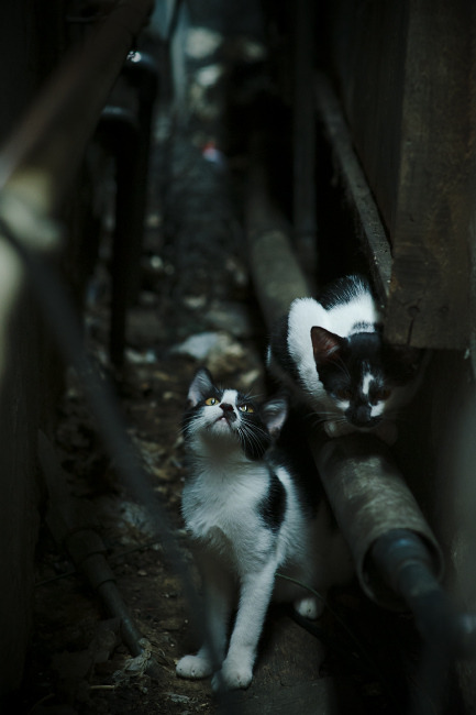 引擎轰鸣时，爱德华兹画下寂静的逗点