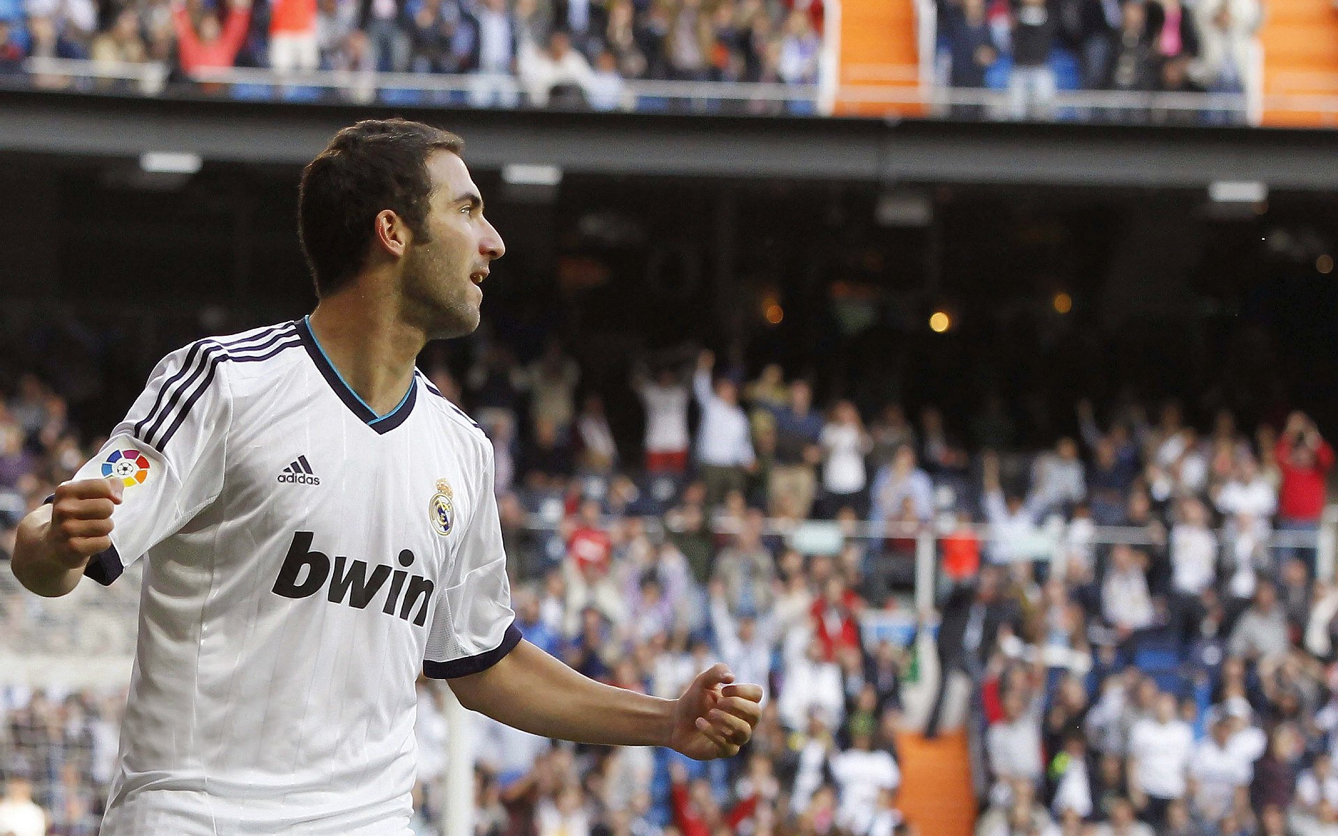 年度焦点之战,广东队狼群战术全面压制骑士