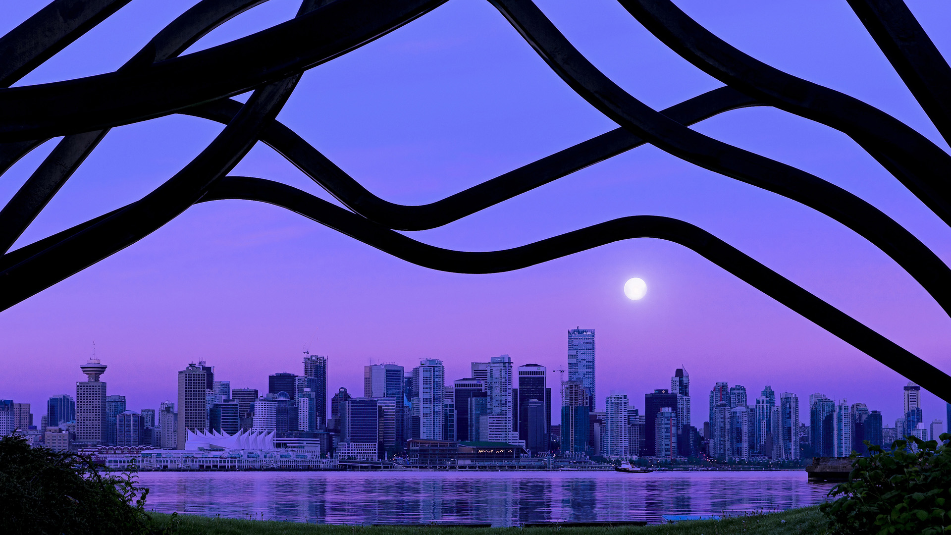 北境之虎对紫衫军，冷锋德罗赞一剑封喉