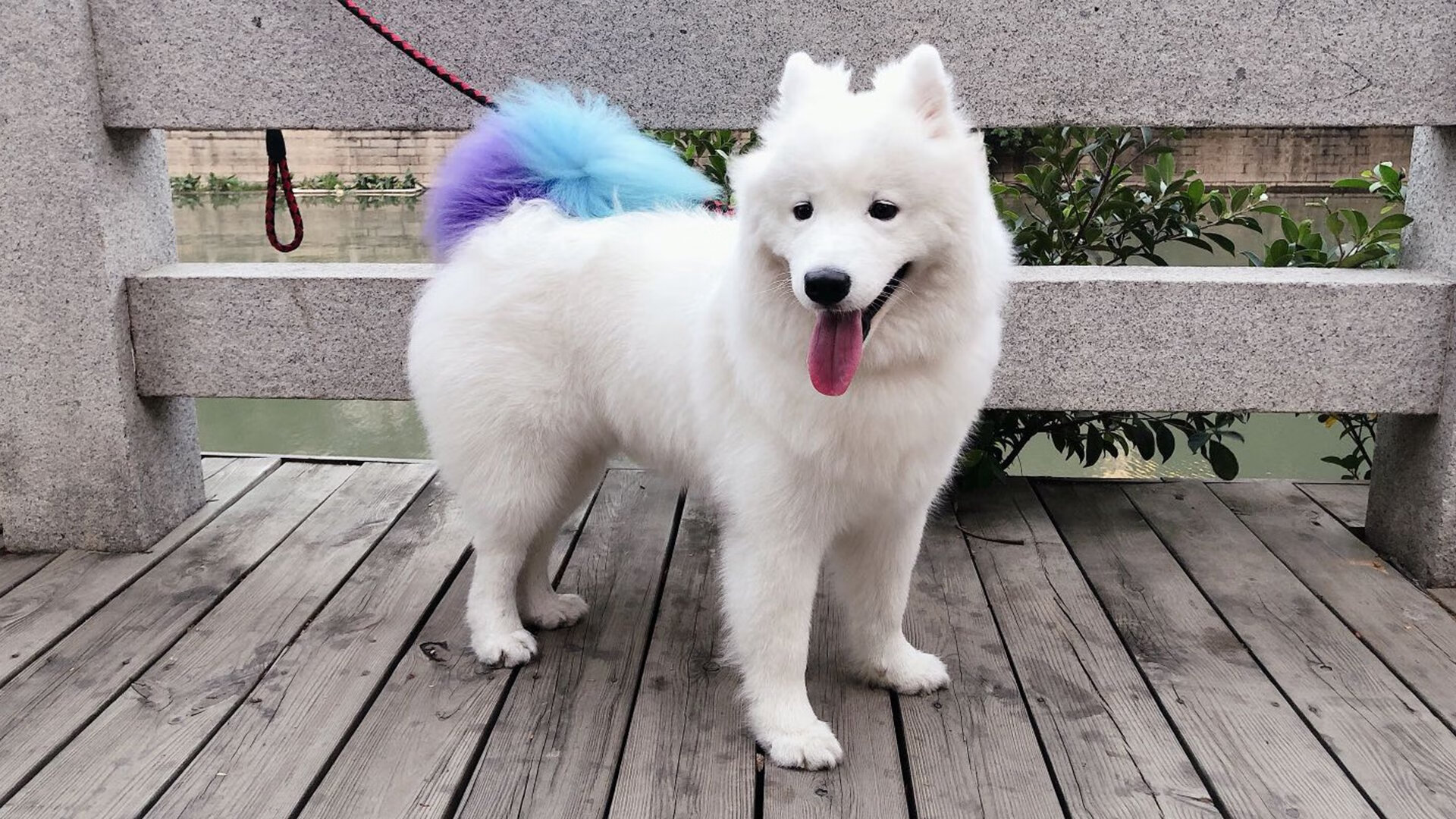 亚洲磐石与南美利刃，当个人闪光点亮团队胜利的星辰