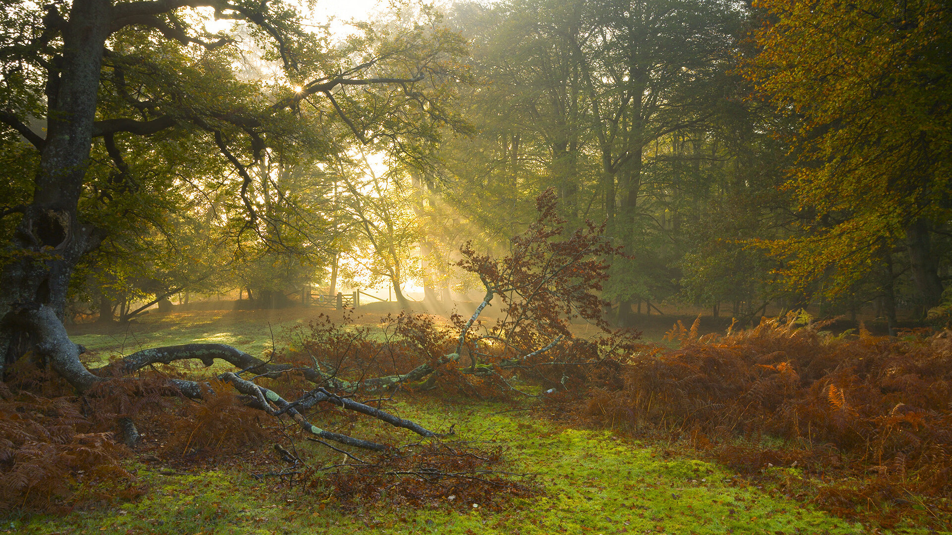 西亚卡姆绝杀时刻，当完美成为雷霆一击，篮球找到它的终极答案