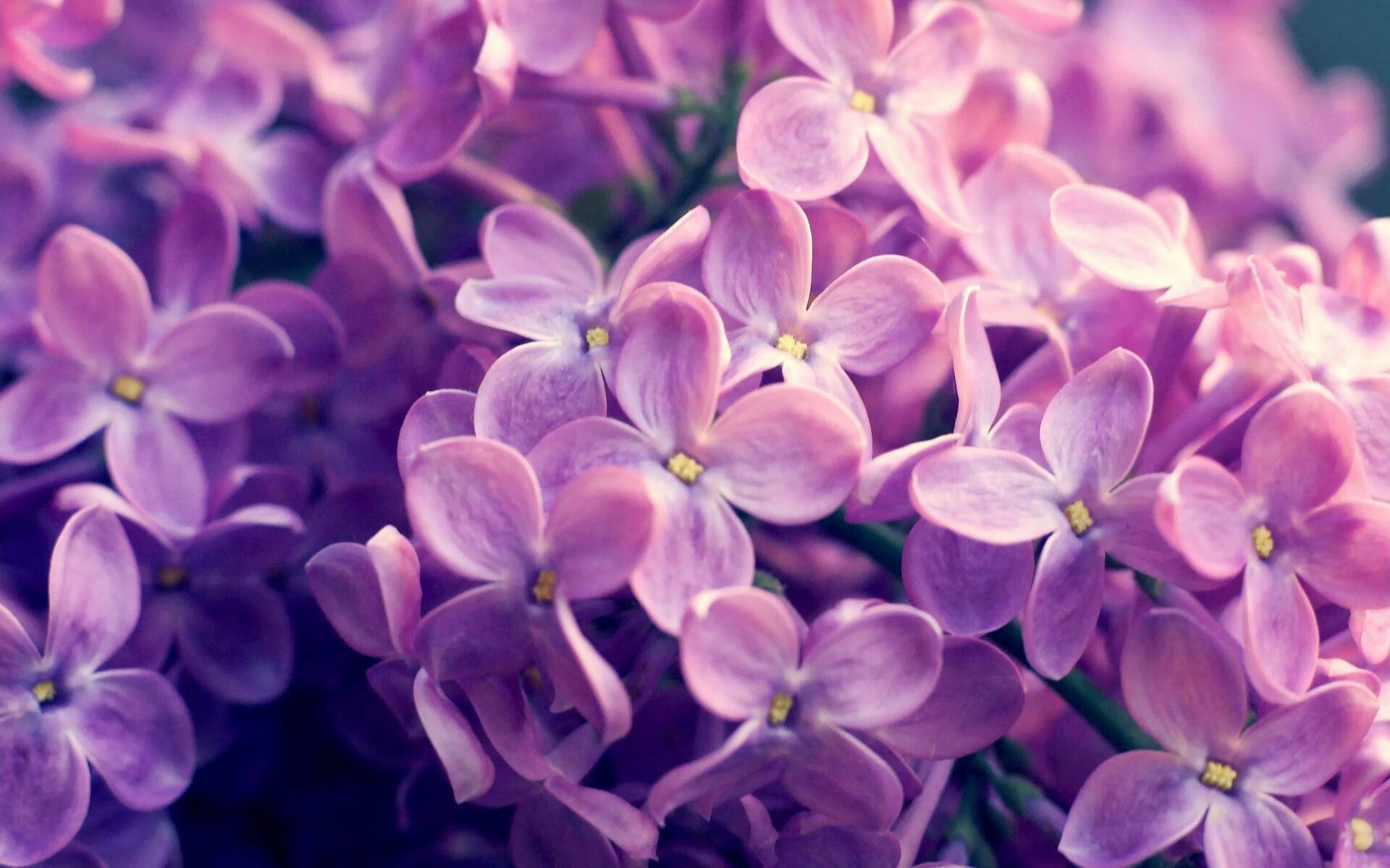 跨界接管,当杜兰特在F1赛道上投出致命超车