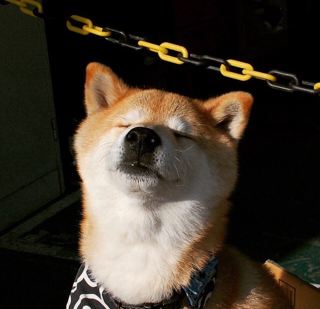 熔岩般火力，太阳灼穿马刺，季后赛暴力投射时代降临？