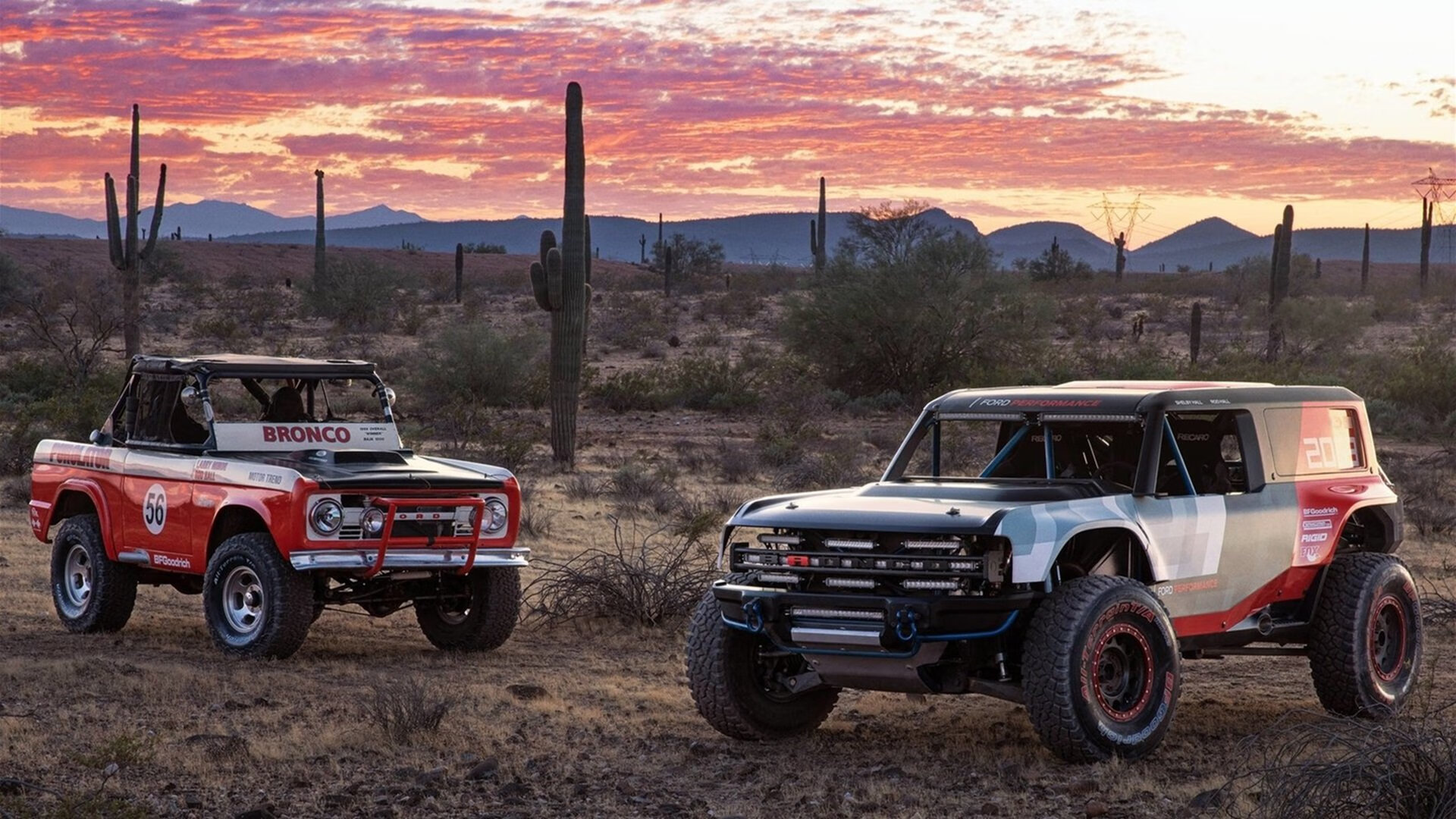 篮足交汇的奇迹夜,当总决赛遇见欧冠
