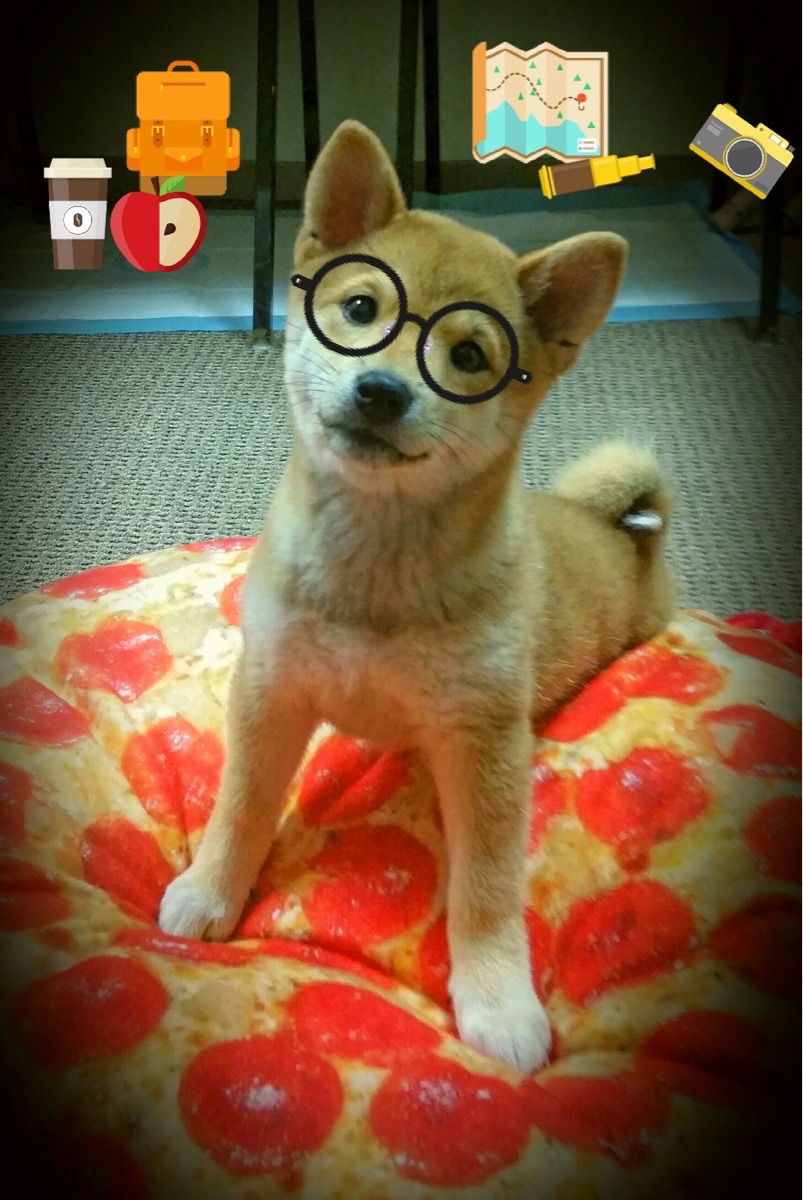 唯一剧本，假如塞维利亚在英超改写争冠格局