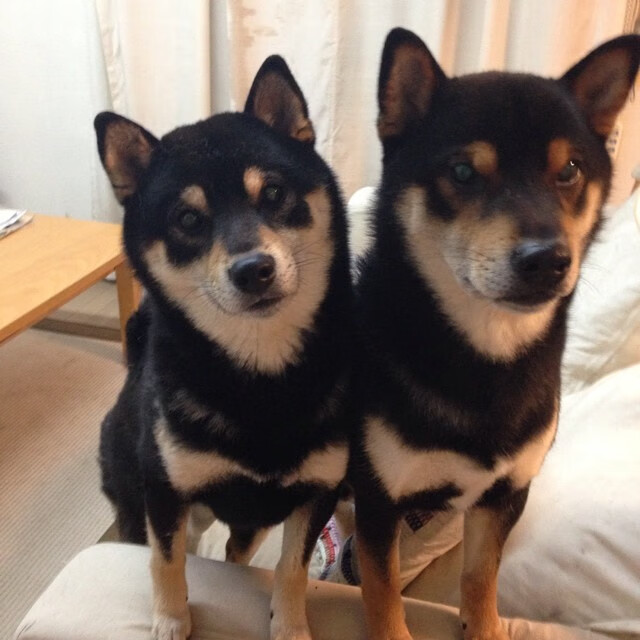 当夕阳掀翻战车，39岁皮克一锤定音，莱比锡掀翻比利时豪门