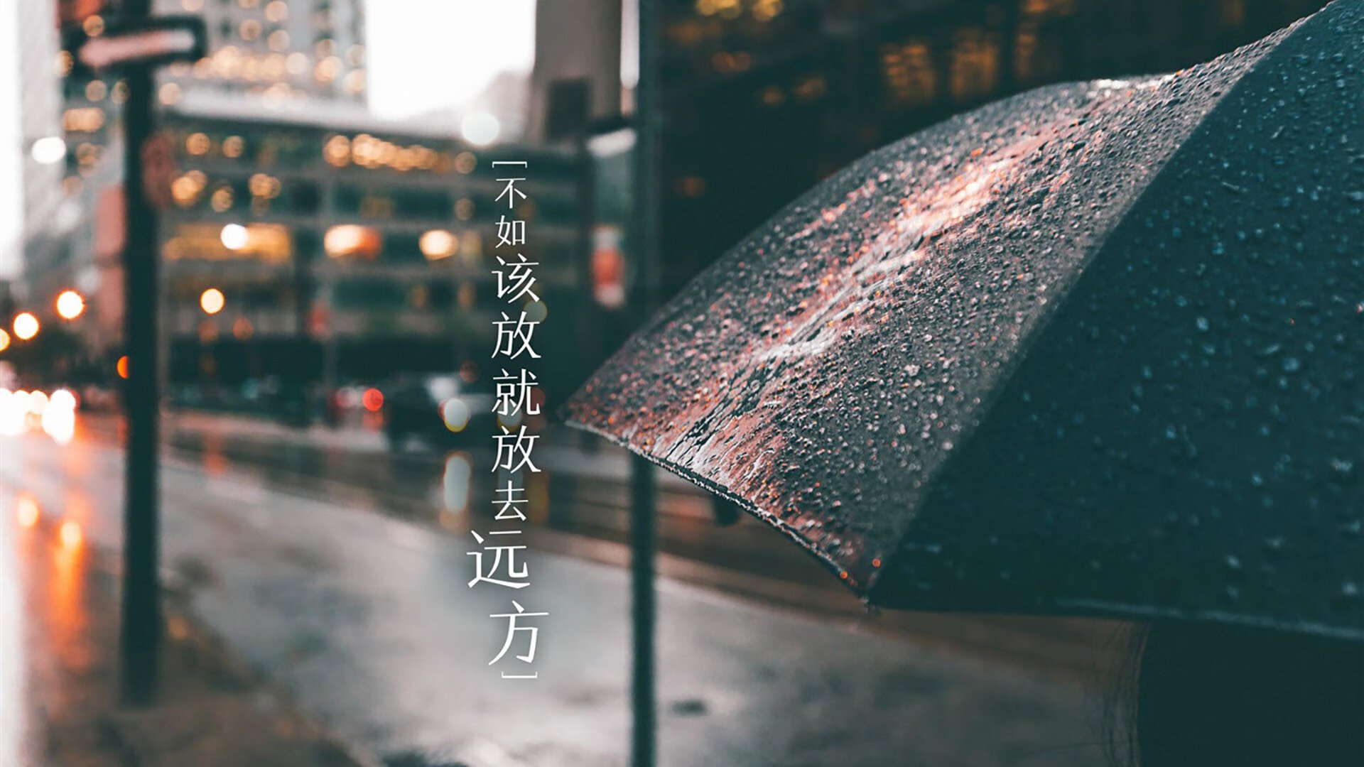 致命一击的宿命,2026世界杯D组,荷兰风暴下的罗马尼亚与苏亚雷斯的最后独白