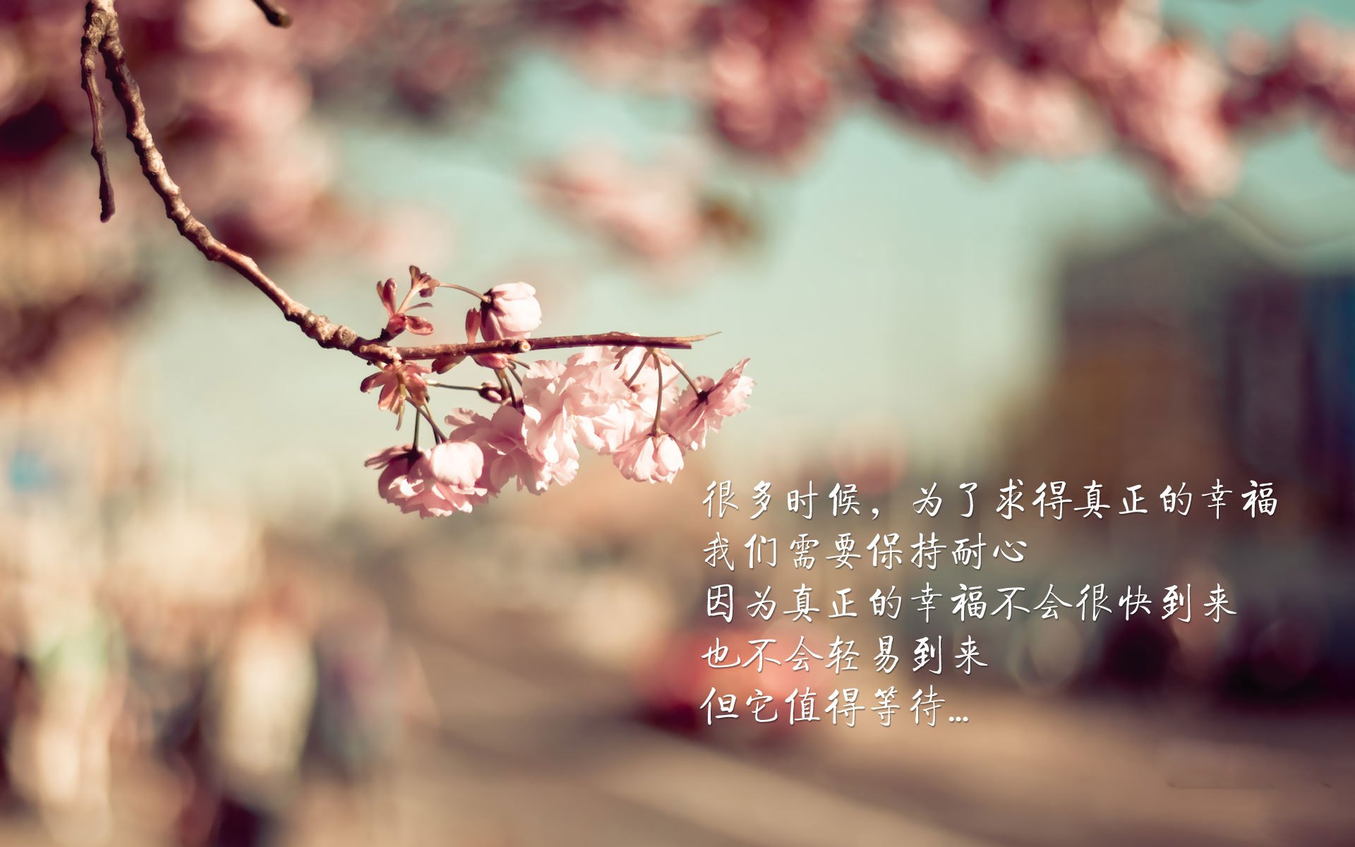 星条旗与蓝武士的激荡之夜,2026世界杯G组美国力克印度,佩德里闪耀全场